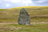 Lund, Unst, Shetland, Scotland 2024 0818