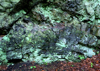Lehigh Gorge, PA 2017