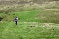 Hermaness, Unst, Shetland, Scotland 2024 0817