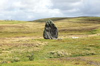 Lund, Unst, Shetland, Scotland 2024 0818