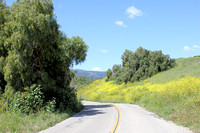Gaviota, CA 2011