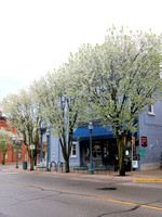 Streetscapes