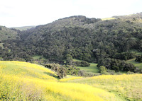 Jalama Beach, CA 2011