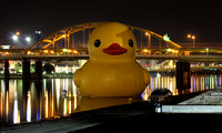 Pittsburgh, PA 2013