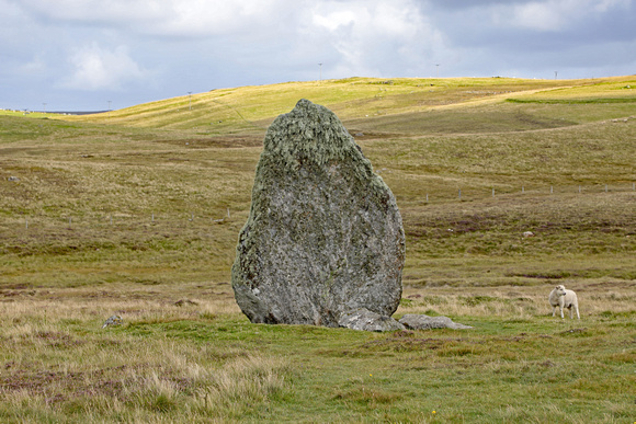 Lund, Unst, Shetland, Scotland 2024 0818